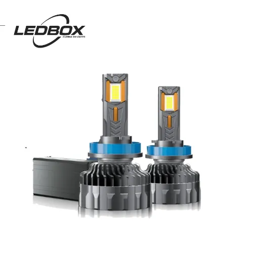FOCO H4 C16 LEDBOX (PAR)