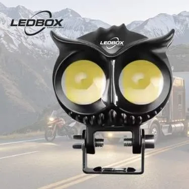 FOCO BUHO LEDBOX CON FLASHEO (SUELTO)